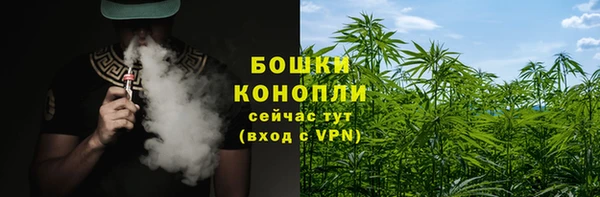 трава Абаза