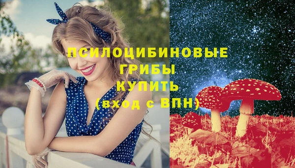 индика Абдулино