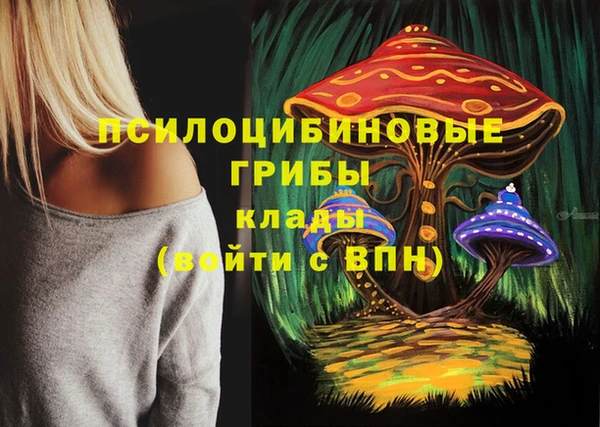 меф Арсеньев