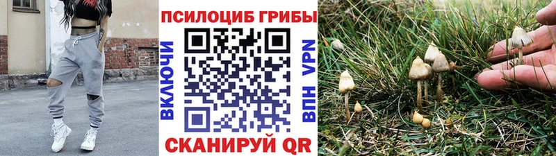 Галлюциногенные грибы прущие грибы Королёв