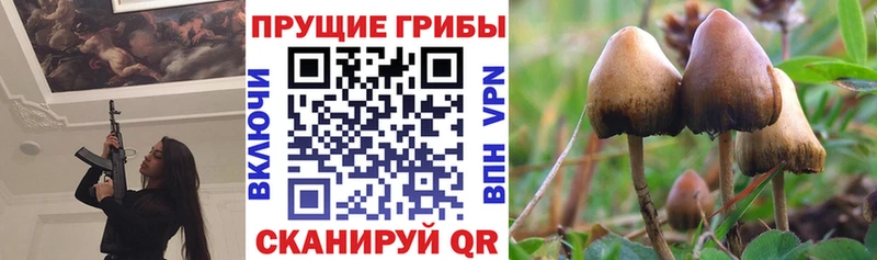 гидра ONION  Королёв  Галлюциногенные грибы прущие грибы  дарнет шоп 